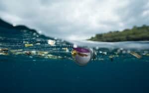 inquinamento da plastica nel mare